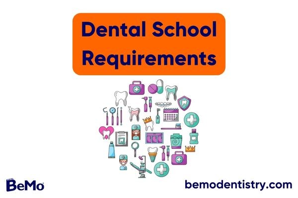 Dental School Requirements