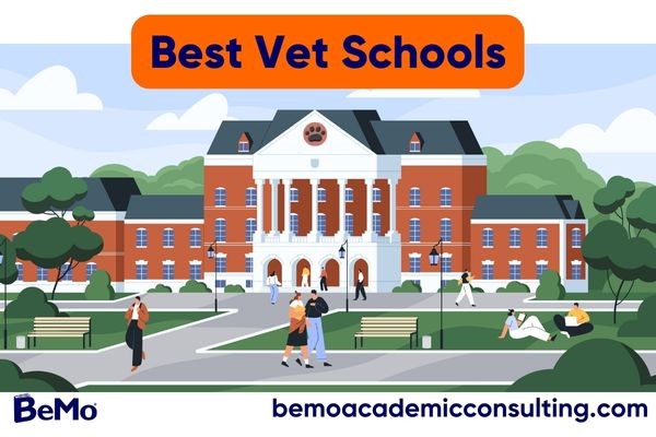 Best vet schools