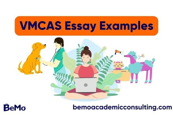 VMCAS Essay Examples