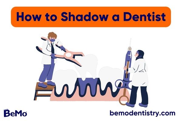 How to Shadow a Dentist
