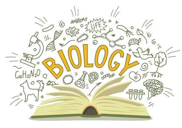 MCAT Biology Guide