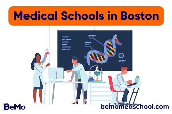 Medical Schools in Boston