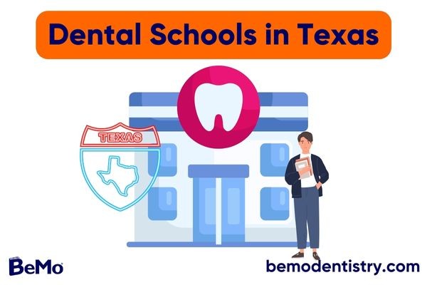 Dental Schools in Texas