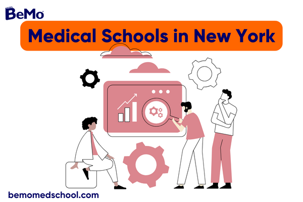Medical Schools in New York