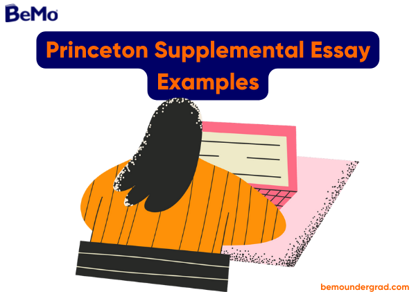 Princeton Supplemental Essay Examples