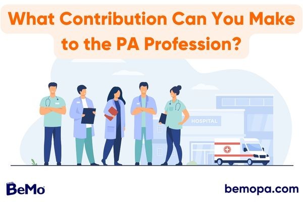 Describe what contribution you can make to the pa profession
