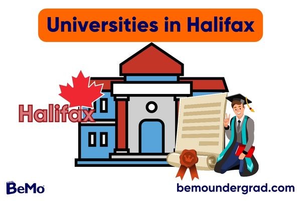 Universities in Halifax: Education with Historic Roots | BeMo®