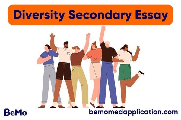 Diversity Secondary Essay