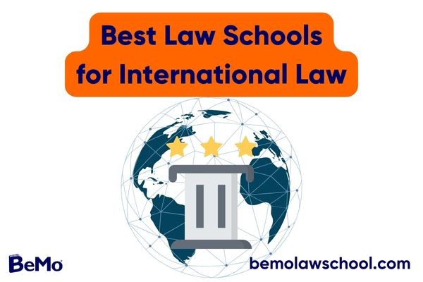 Best Law Schools for International Law