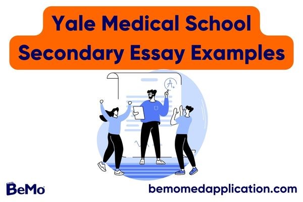 Yale Medical School Secondary Essay Examples
