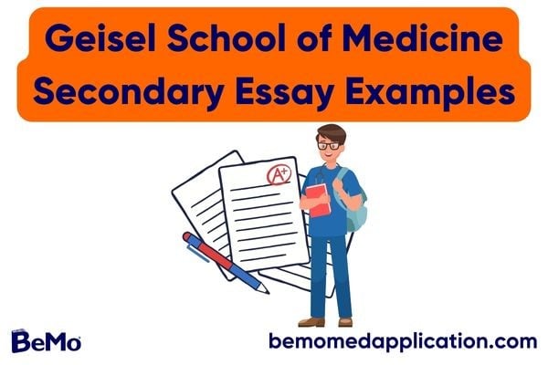 medical school secondary essays 2023