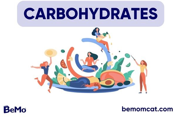Carbohydrates MCAT