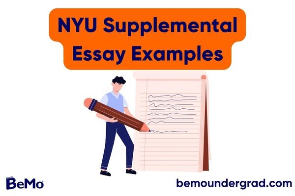 NYU Supplemental Essay Examples