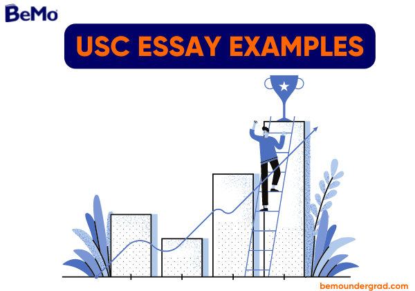 USC Essay Examples
