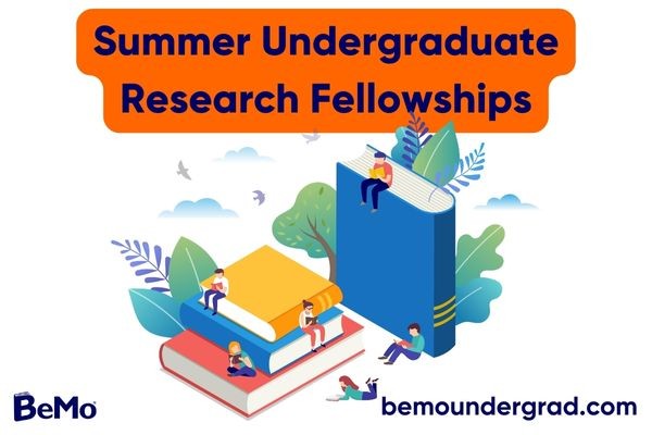 Summer Undergraduate Research Fellowships: For Bright Minds!