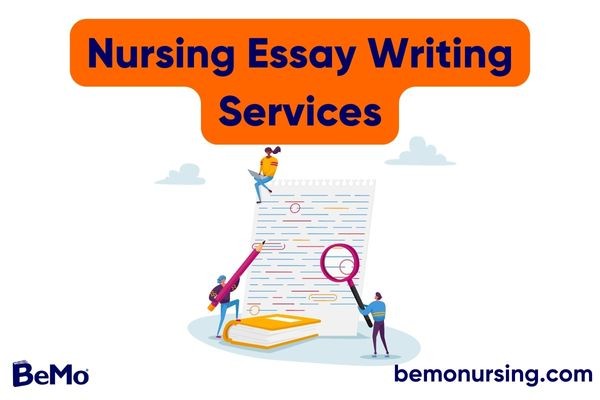 Nursing school essay writing services